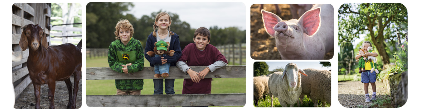Collage of brown goat, kids, pig, dog in tractor