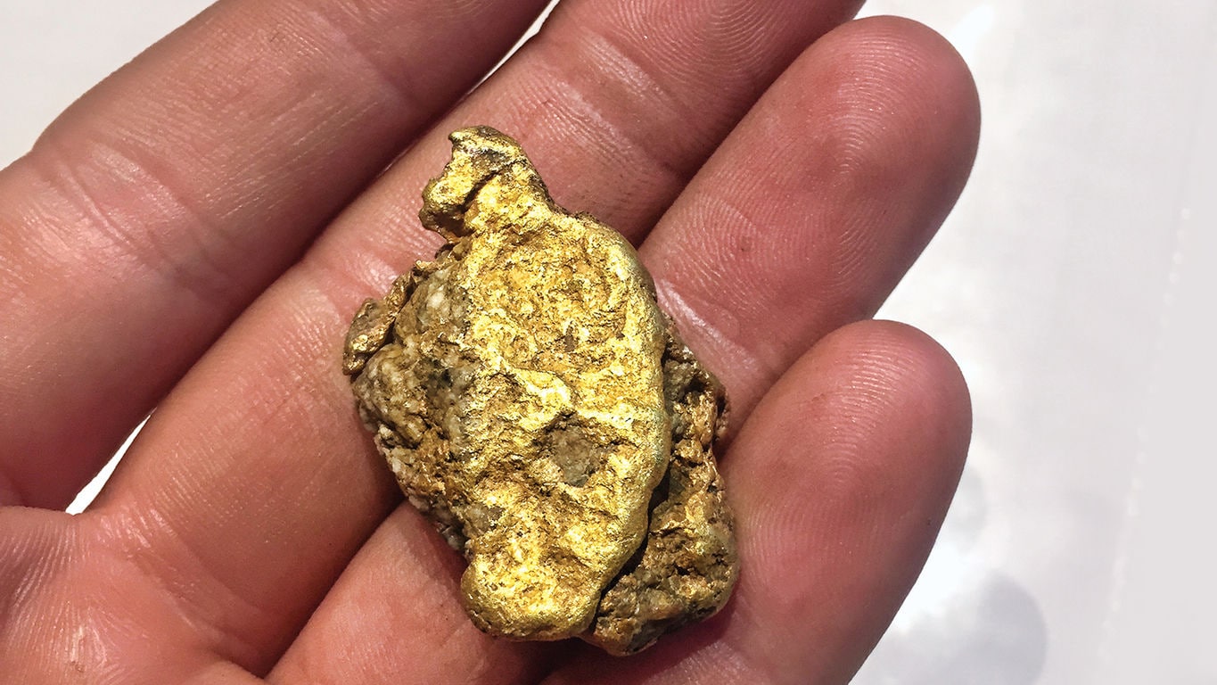 A gold nugget recovered at a placer mine in Altin, British Columbia