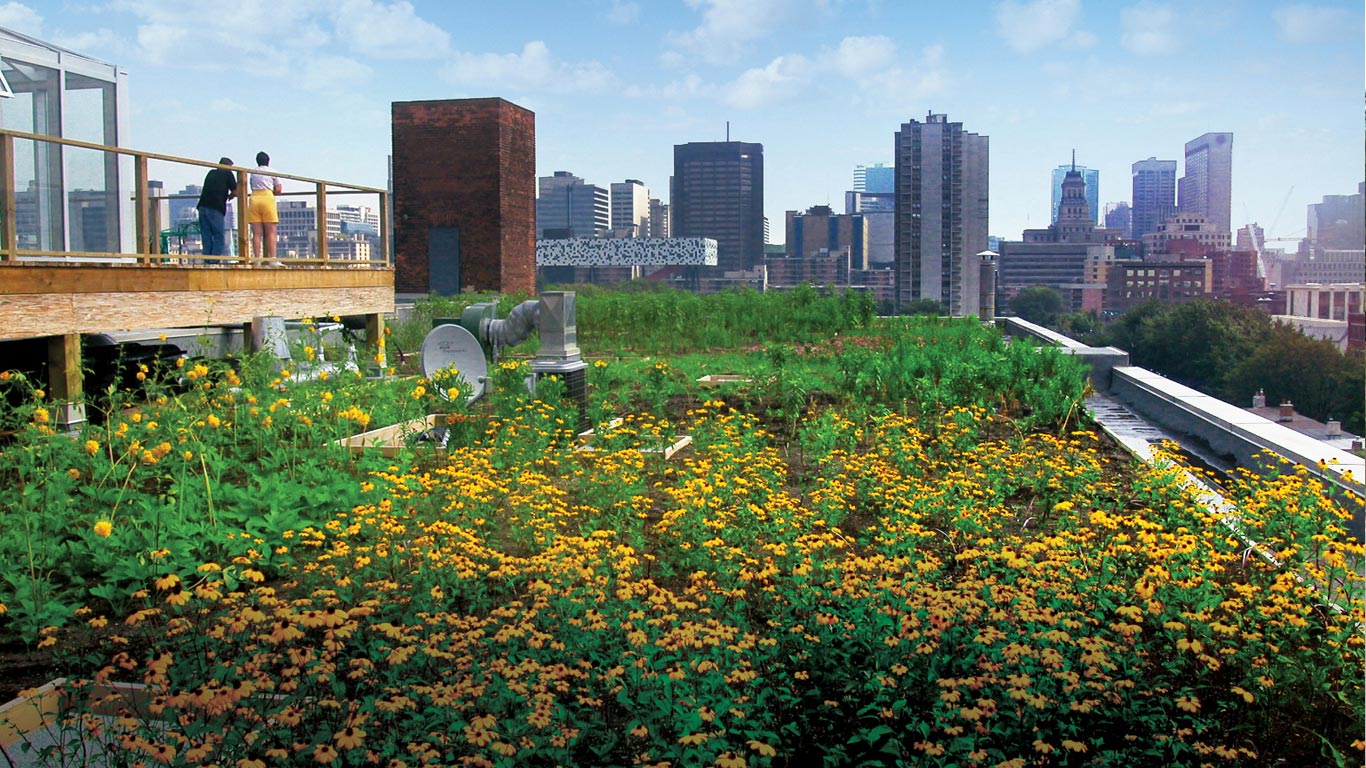 Rooftop covered with flowers and greenery