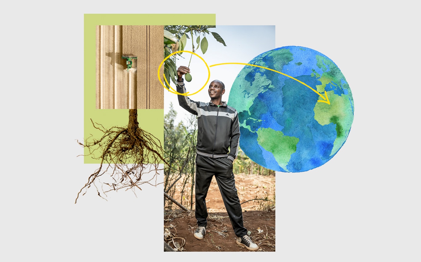 들판에 있는 John Deere 하베스터의 조감도, 나무에 매달린 아보카도를 집고 있는 사람, 지구 그림에서 아프리카를 가리키는 화살표.
