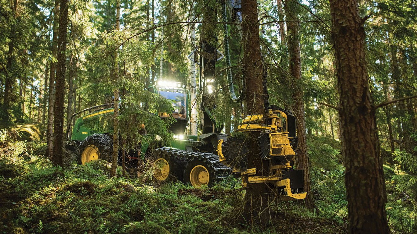 Forestry equipment operating in a forest