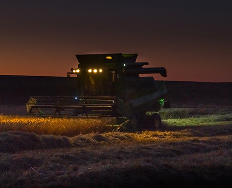 Excellent Visibility During Night