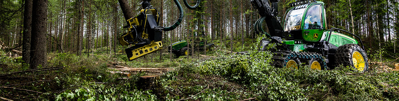 Forestry equipment operating on a jobsite in the forest