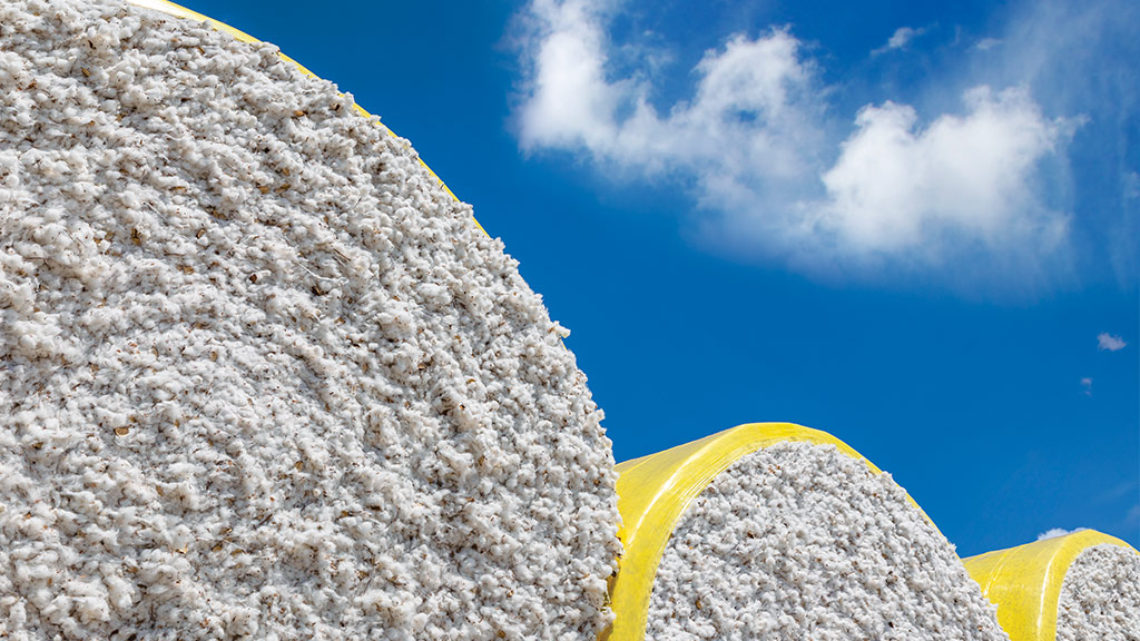 Close-up of dense bales of cotton