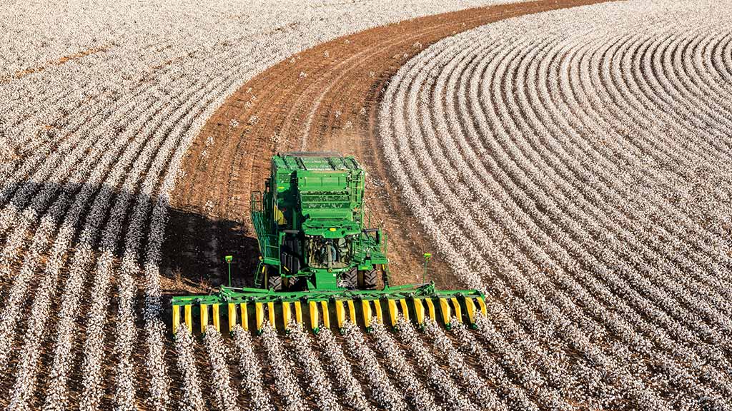 cotton picker in field