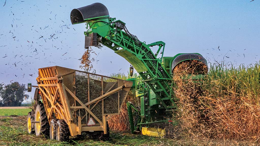 Rear-view photo showing a CH Series Sugar Harvester unloading crop into a tractor-pulled grain cart. Rear-view photo showing a CH Series Sugar Harvester unloading crop into a tractor-pulled grain cart.