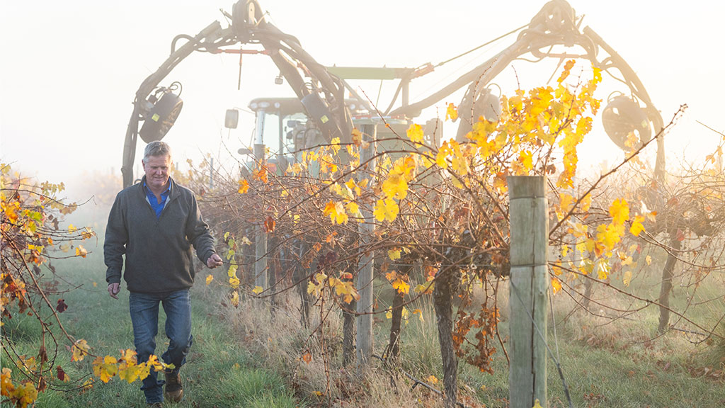 Ben Thomson walks along vineyard row with John Deere tractor behind